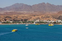 Обнародован список россиян, которые были на борту затонувшего в Египте батискафа. Несколько детей осиротели