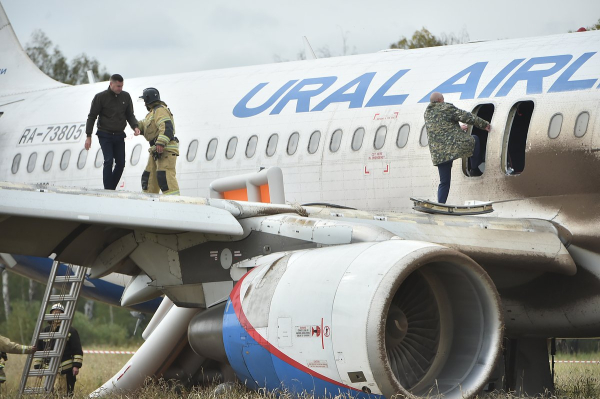 &laquo;Признан не годным&raquo;. Пилота, посадившего самолет в поле под Новосибирском, уволили. Что об этом известно?