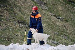 Россиян предупредили об угрожающей Краснодарскому краю опасности