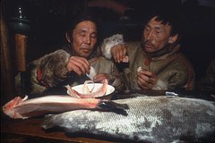 Россиянка описала блюда Крайнего Севера словами &laquo;для них лакомство, для других &mdash; дикость&raquo;