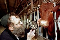 У Мертвого моря обнаружили загадочную пирамиду с сокровищами и древними письменами