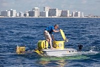 В Египте затонул батискаф с десятками российских туристов. Есть жертвы