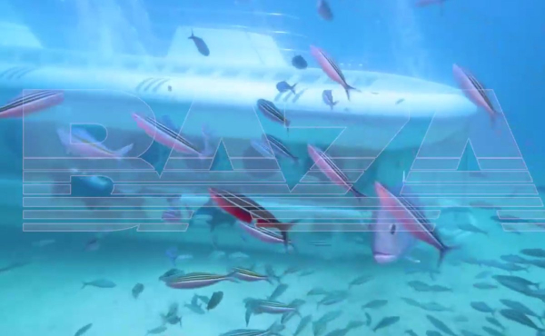 В Египте затонул батискаф с десятками российских туристов. Есть жертвы