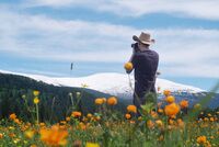 В популярном у туристов регионе России объявили штормовое предупреждение