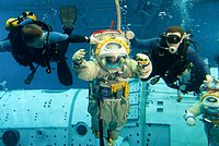 &laquo;Видимость внутри уже была нулевой&raquo;. Капитан затонувшего в Египте батискафа раскрыл подробности происшествия