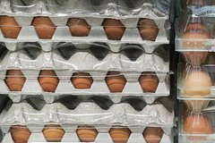 Блогер побывал в Великобритании и сравнил цены на продукты с российскими