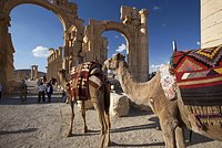 Британец провел отпуск с &laquo;Талибаном&raquo; и описал афганцев фразой &laquo;был для них знаменитостью&raquo;