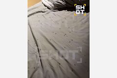 Гигантские муравьи и ядовитый паук заполонили номер россиян во Вьетнаме