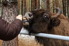 Миллионы россиян заинтересовались поездками по заповедникам страны
