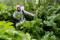 Мужчина надел огромный костюм кроншнепа и прошел так 85 километров по необычной причине