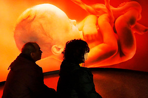 Названы самые ценные аспекты секса