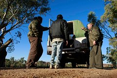 Незнакомец бросил в туристку камень и стал топтать ей голову без видимых причин