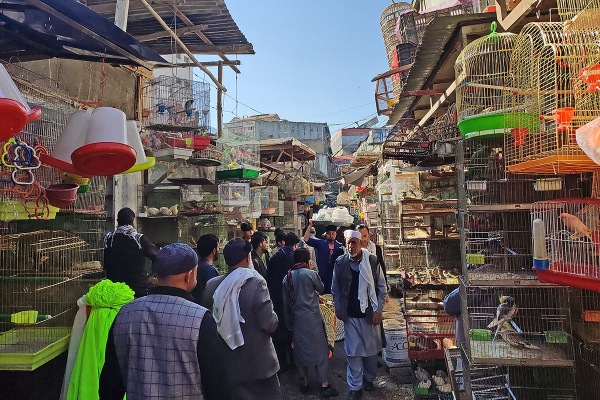 &laquo;Они просто запретили все&raquo; Как сегодня живет Афганистан при талибах и можно ли россиянам попасть туда?