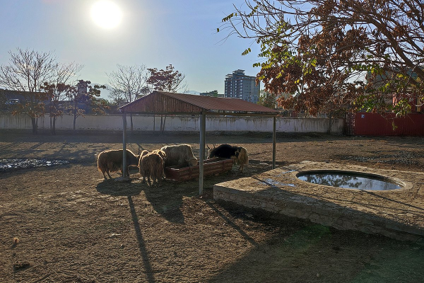 &laquo;Они просто запретили все&raquo; Как сегодня живет Афганистан при талибах и можно ли россиянам попасть туда?