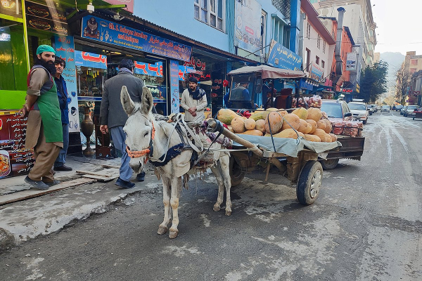 &laquo;Они просто запретили все&raquo; Как сегодня живет Афганистан при талибах и можно ли россиянам попасть туда?