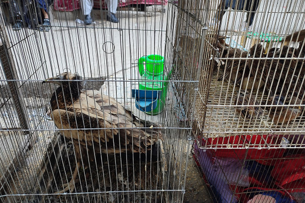 &laquo;Они просто запретили все&raquo; Как сегодня живет Афганистан при талибах и можно ли россиянам попасть туда?