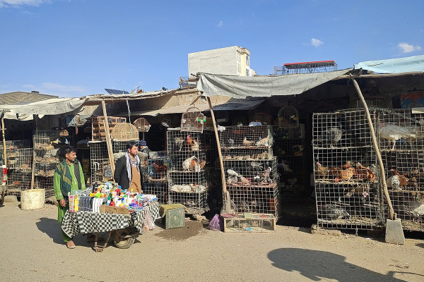 &laquo;Они просто запретили все&raquo; Как сегодня живет Афганистан при талибах и можно ли россиянам попасть туда?