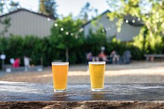 Отдыхающих в Крыму россиян начнут баловать новым видом пива