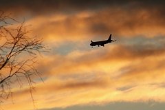 Пилотов самолета с россиянами на борту пытались ослепить в небе над Москвой