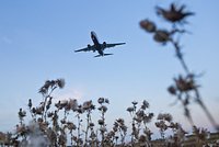 Работник склада был придавлен установкой для самолетов в российском аэропорту и не выжил