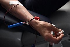 Россиянам раскрыли нюансы донорства крови и костного мозга