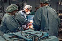 Россиянам раскрыли нюансы донорства крови и костного мозга