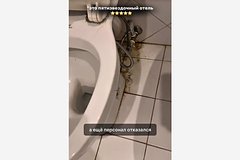 Россиянка попала в заброшенный отель с фекалиями в Египте по вине популярного туроператора