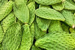 Российская тревел-блогерша описала некоторые продукты в Мексике фразой &laquo;в России не найти&raquo;