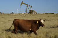 Российские туристы в ОАЭ пожаловались на едкую вонь от разлива нефти в море