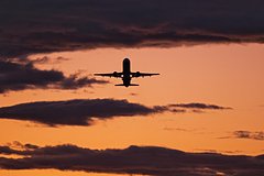 Самолет совершил экстренную посадку в Европе из-за разбушевавшегося финна