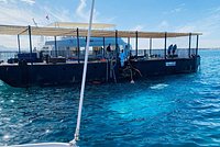 Сотни российских туристов экстренно переселили из отеля в Египте. Что там произошло?