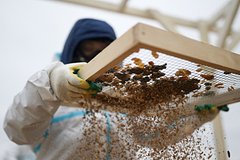 Стало известно о влиянии выбросов мазута на курортный сезон в Крыму