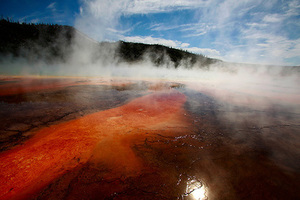 Туристка нарушила одно правило в национальном парке США и угодила в тюрьму