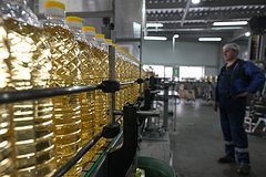 В России начало падать производство подсолнечного масла