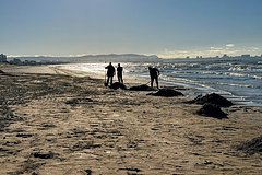 В России найдут альтернативы загрязненным пляжам Анапы