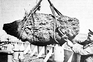 На популярном туристическом пляже нашли тушу кашалота и сняли ее на видео