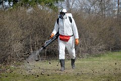 Названы районы Москвы и области с наибольшим количеством клещей