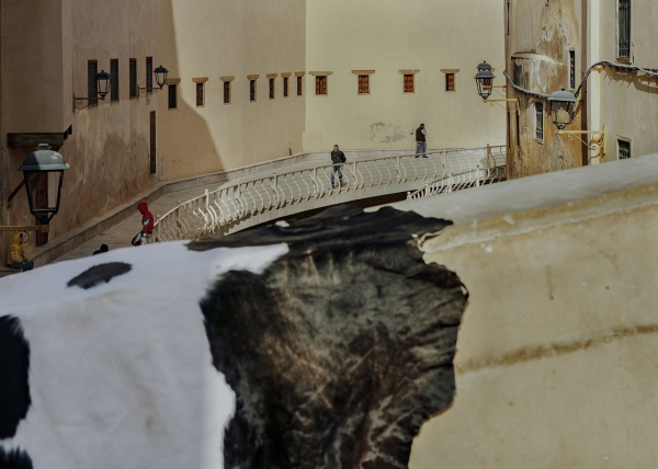 Оазис свободы. Почему россиянам стоит побывать в Марокко, что там посмотреть и каких ошибок лучше избегать