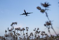 Пилотов сразу двух российских самолетов попытались ослепить лазером в небе