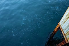 Россияне пожаловались на нашествие ядовитых существ в Турции