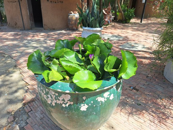 Россияне стали частыми посетителями Таиланда. Какой курорт выбрать для отдыха и зимовки?