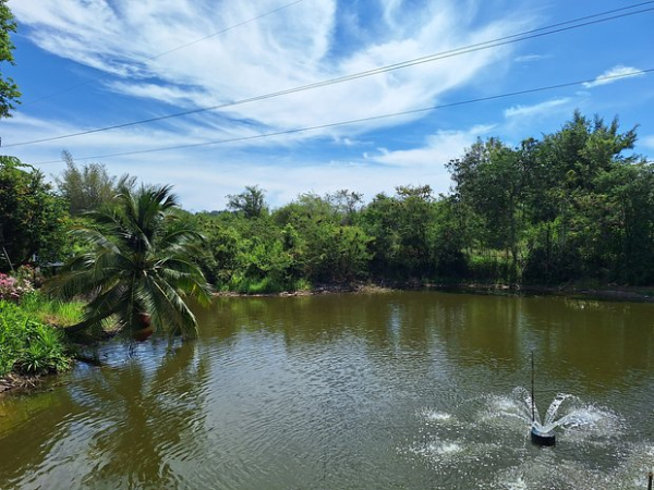 Россияне стали частыми посетителями Таиланда. Какой курорт выбрать для отдыха и зимовки?