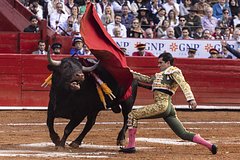 Россиянин описал одну особенность жизни в Мексике фразой &laquo;ужас, который надо запретить&raquo;