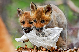 Россиянин побывал в городе за Полярным кругом и удивился ценам на продукты