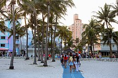 Россиянка отдохнула в Майами и описала внешность американок фразой &laquo;генетический сбой&raquo;