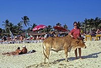 Самолет с пассажирами на борту сел в Москве вопреки угрозе атаки БПЛА