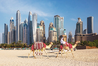 Самый дорогой авиабилет на лето обошелся россиянину по цене автомобиля