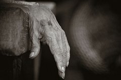 Умерла старейшая жительница планеты