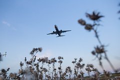 В аэропортах Москвы ввели ограничения на полеты