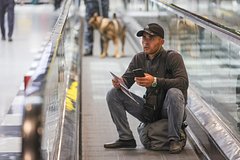 В московских аэропортах снова ввели ограничения на полеты